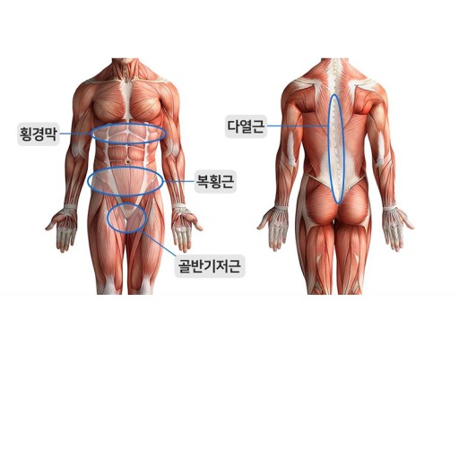 잘빠GYM 이미지