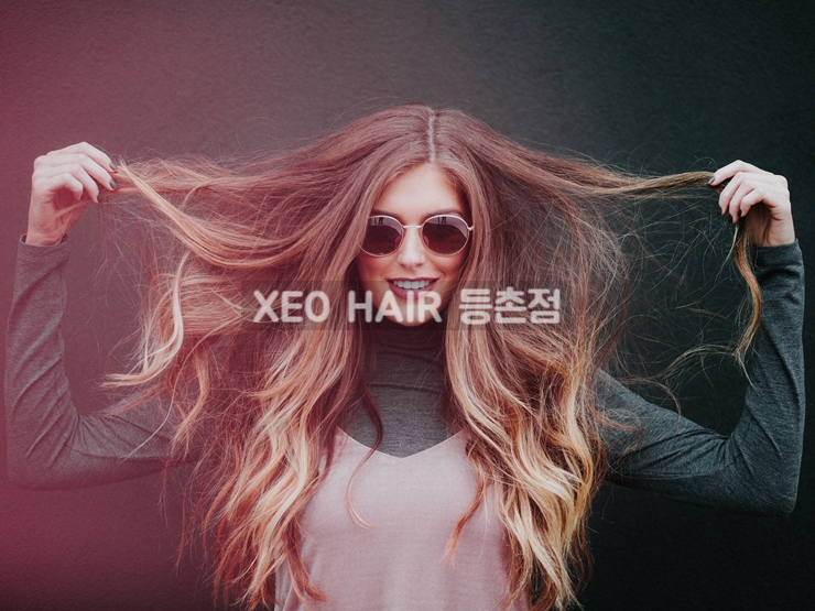 플라이헤어 이미지