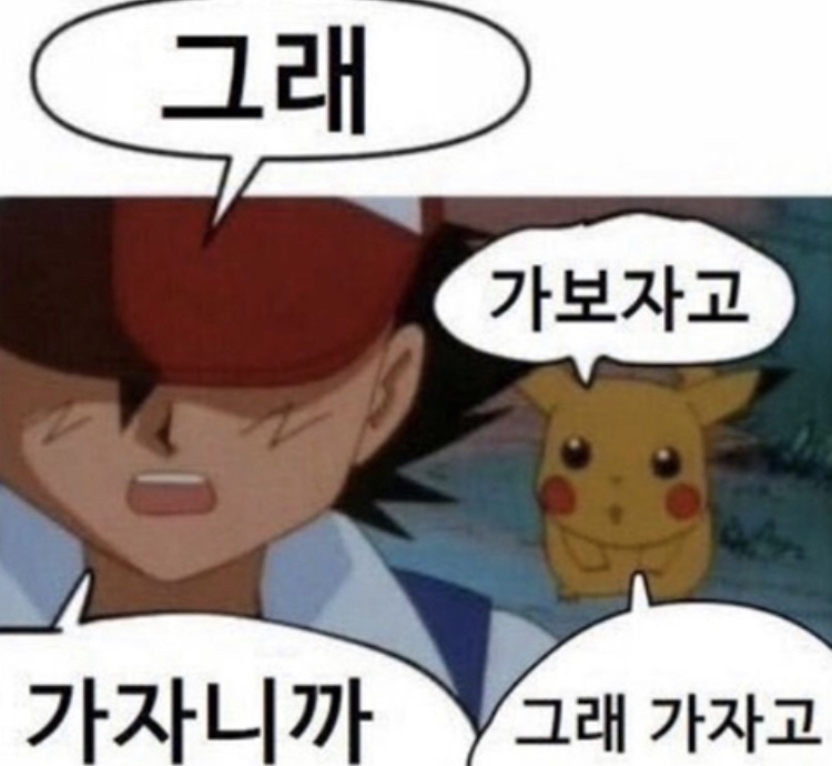 라쿵푸 이미지