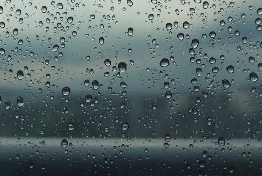 인셀덤알지 이미지