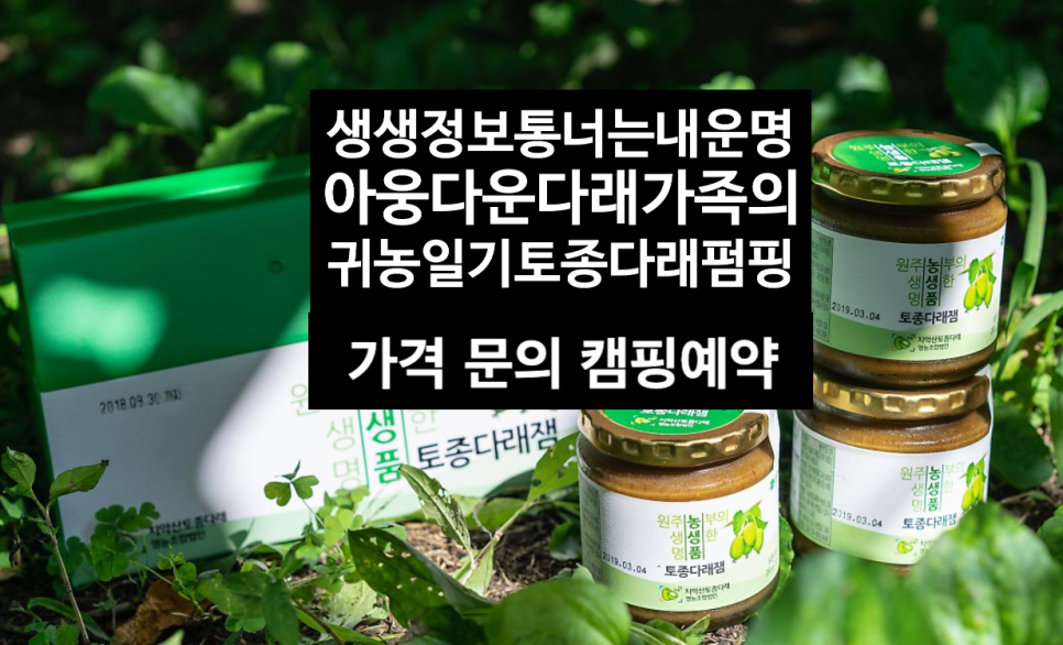 다래팜핑 이미지