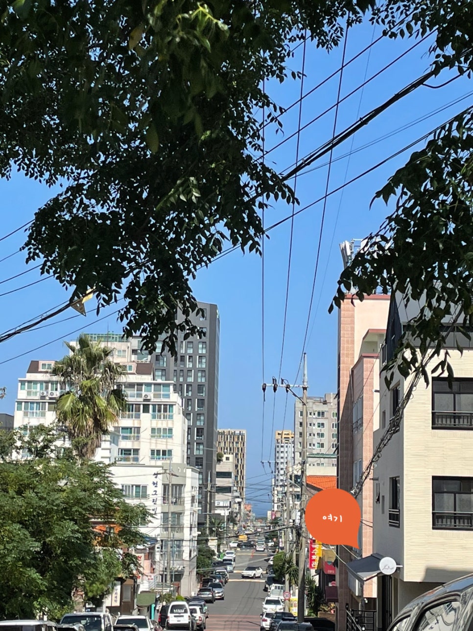 지미네커피 이미지