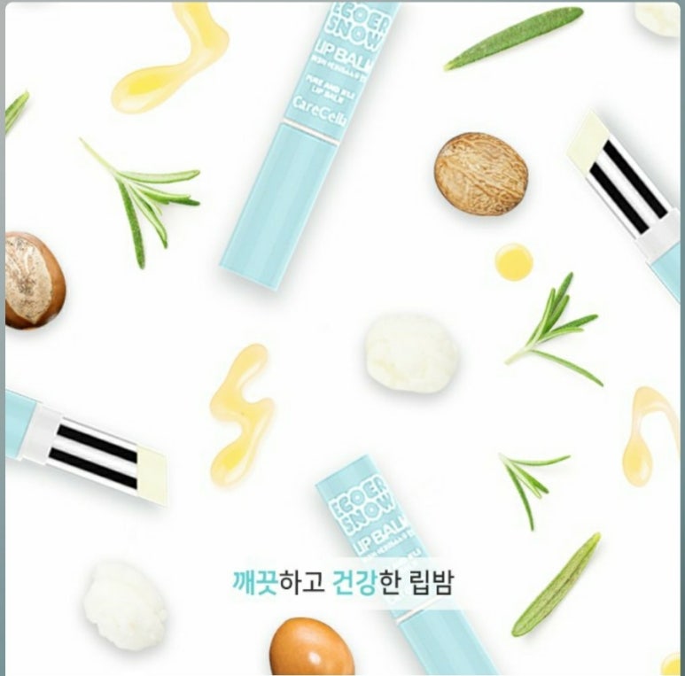 케어셀라 이미지