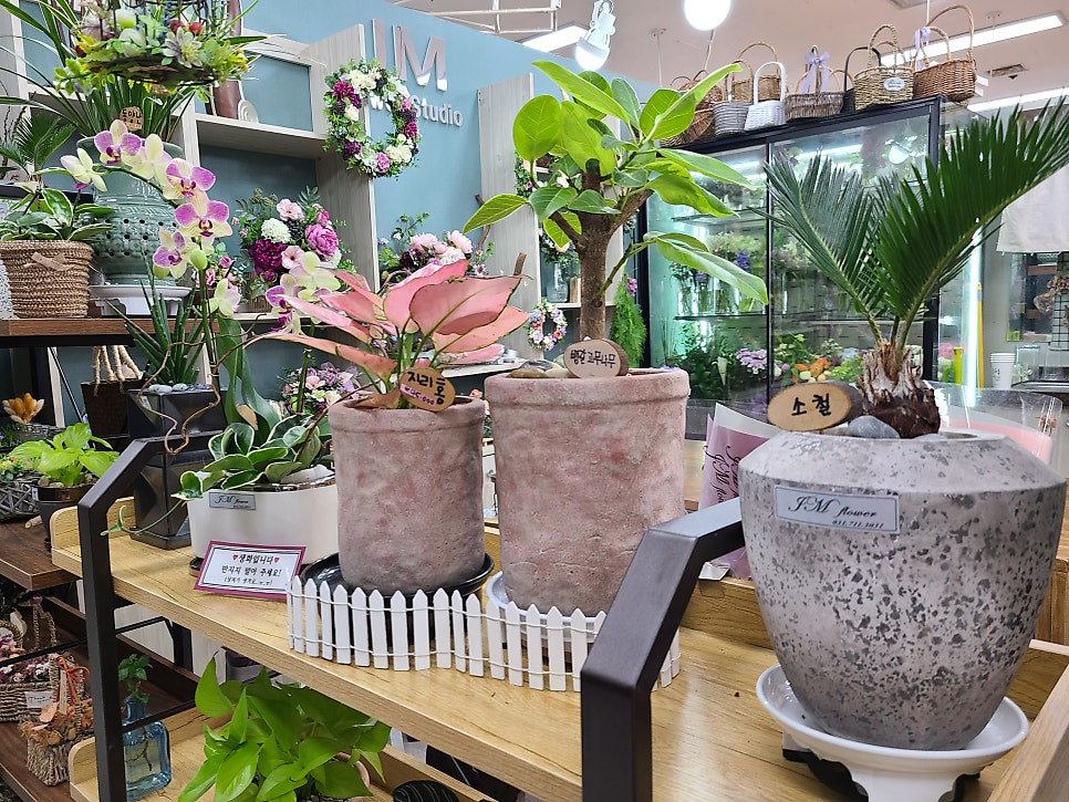 JM환경 이미지