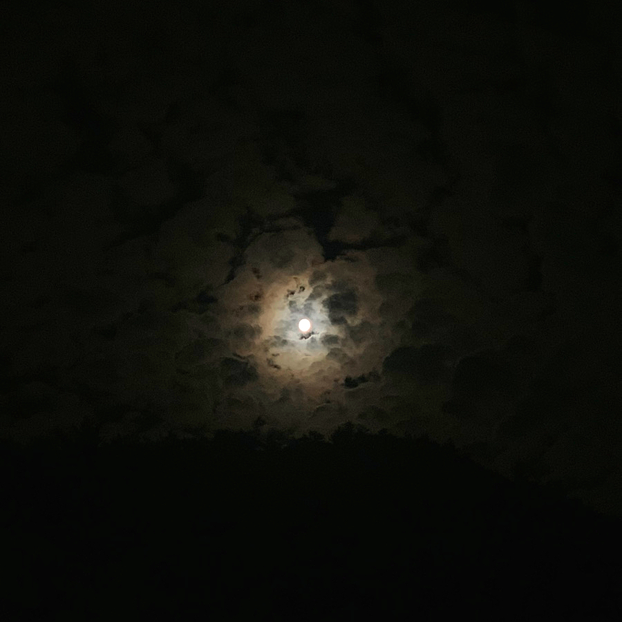 카우보이캠핑장 이미지