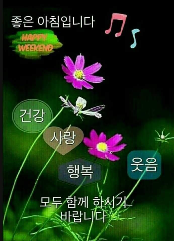 소금빛풍천장어 이미지