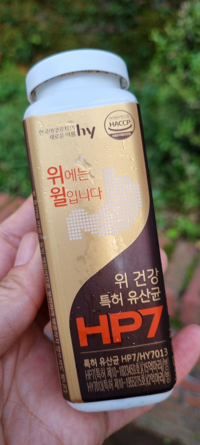 아이윌유치원 이미지