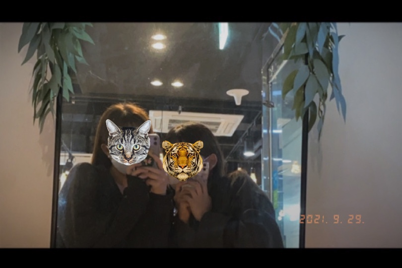 꼬타루 이미지