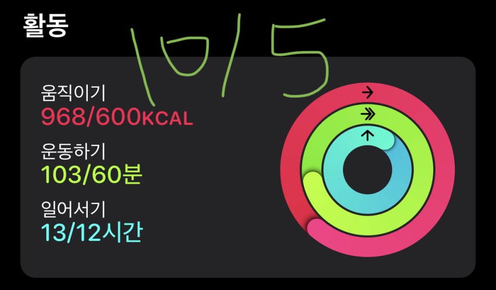 오엠지 이미지