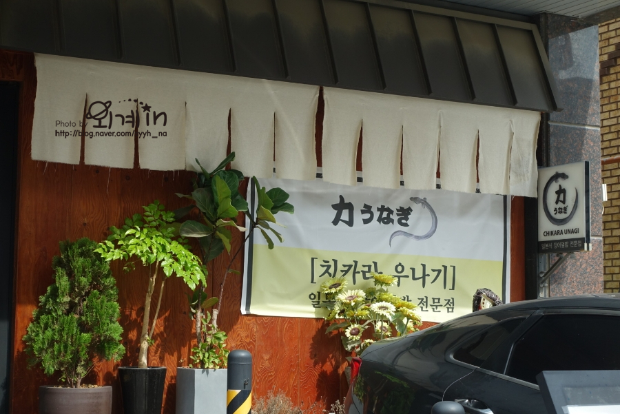 치카라우나기 이미지