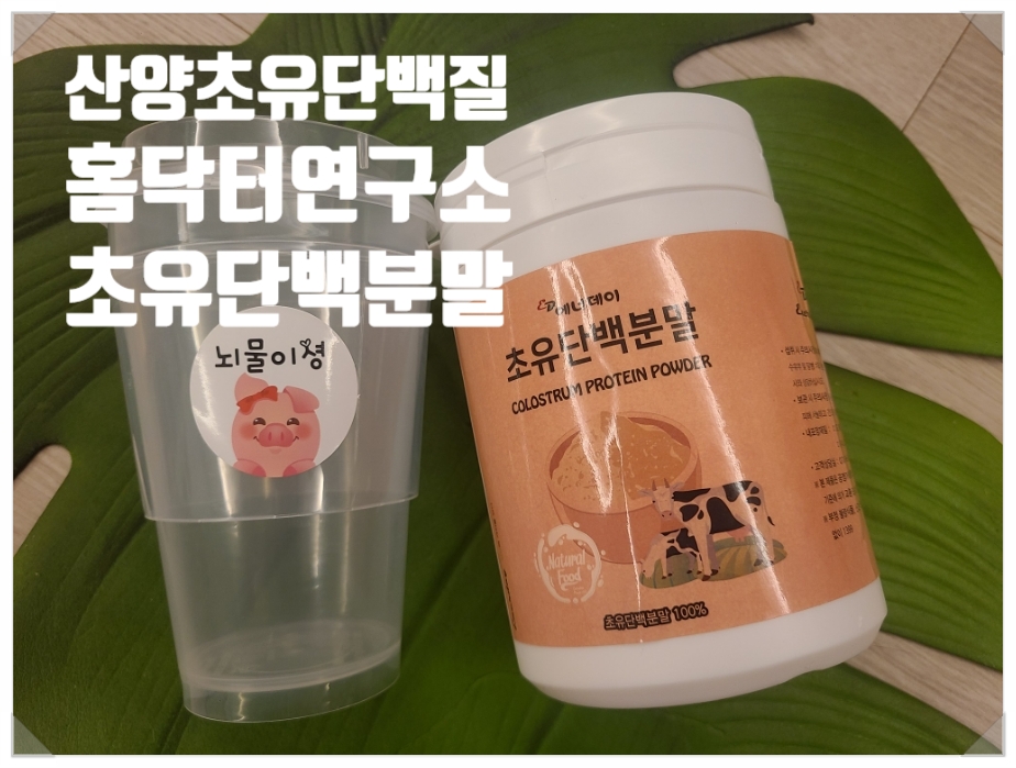 홈닥터연구소 이미지