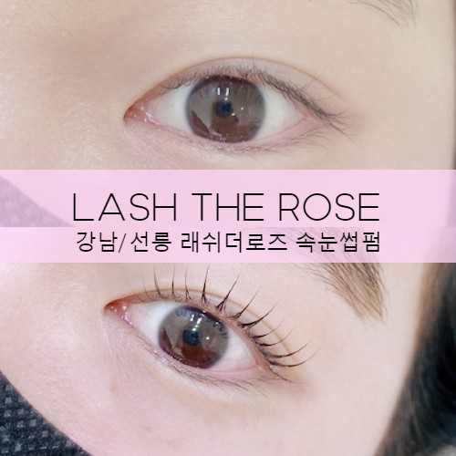 래쉬더로즈 이미지