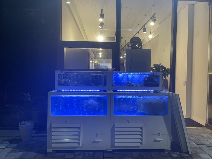 네일바당 이미지