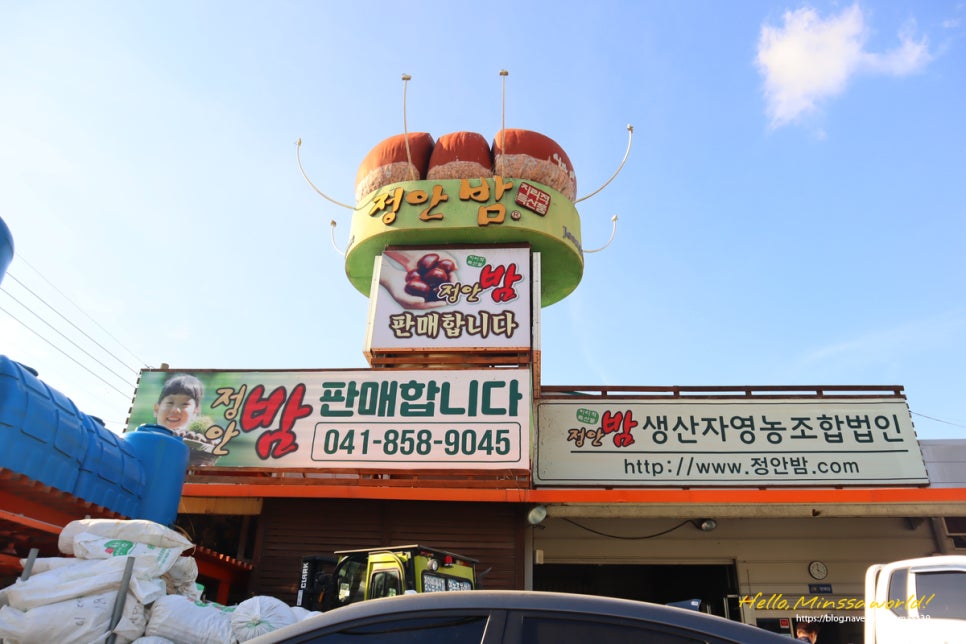 정안밤생산자영농조합법인 이미지