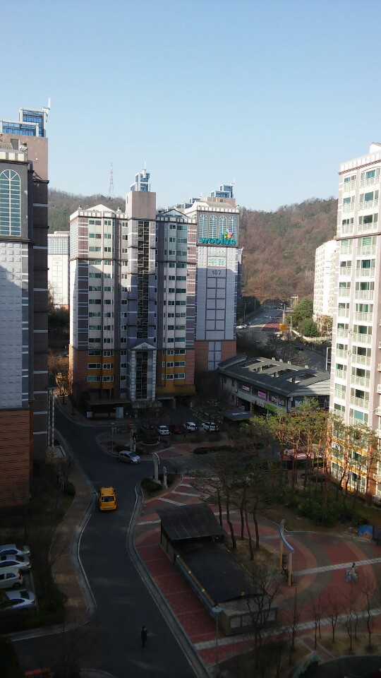 신성부동산컨설팅 이미지
