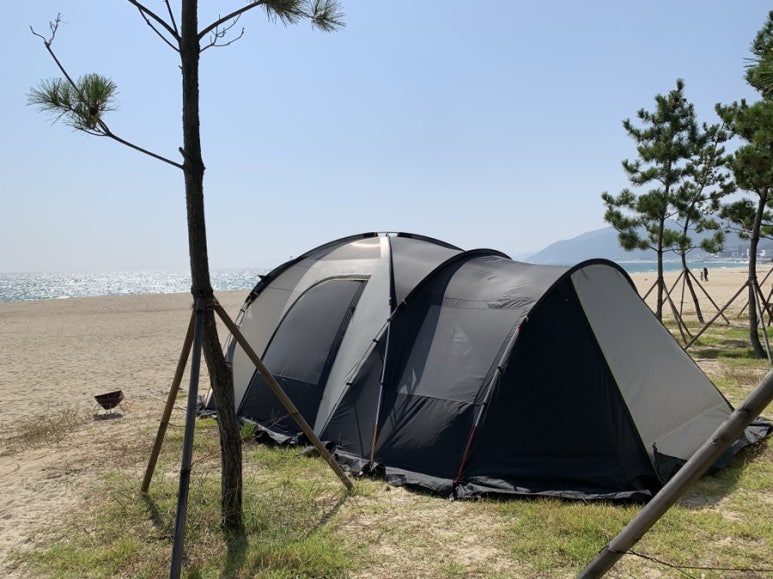 영빈냄비칼국수 이미지