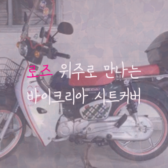 바이크리아 이미지