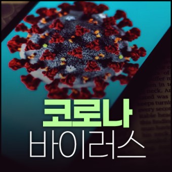 에스에이 이미지
