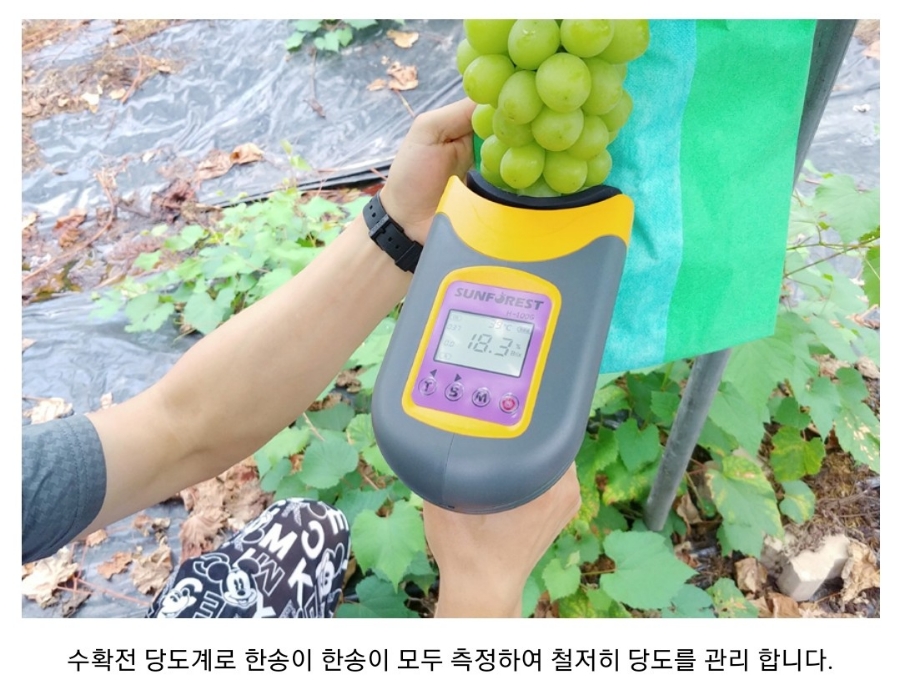 하온농장 이미지