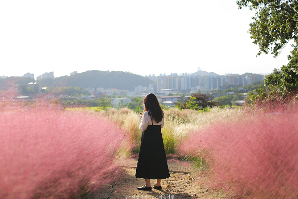 메밀꽃카페 이미지