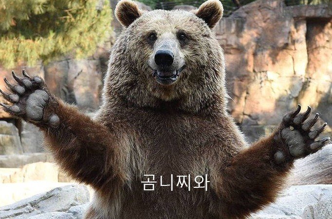 굿즈소리 이미지