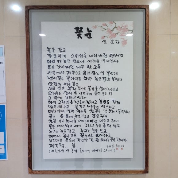 프리덤라이프 이미지
