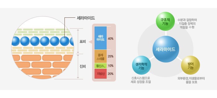 미토바이오 이미지