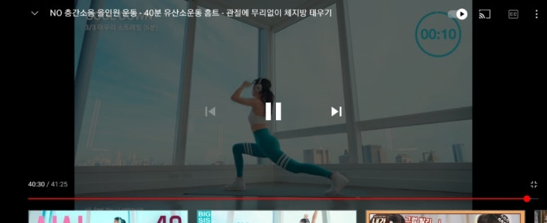 라쑤쑤 이미지
