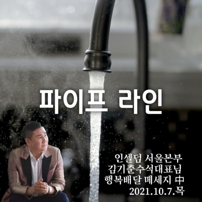 인셀덤 뷰티라인 이미지