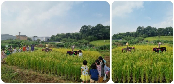 세운어린이집 이미지