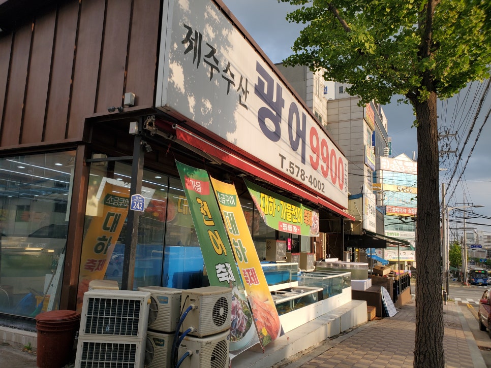 광어9900 이미지