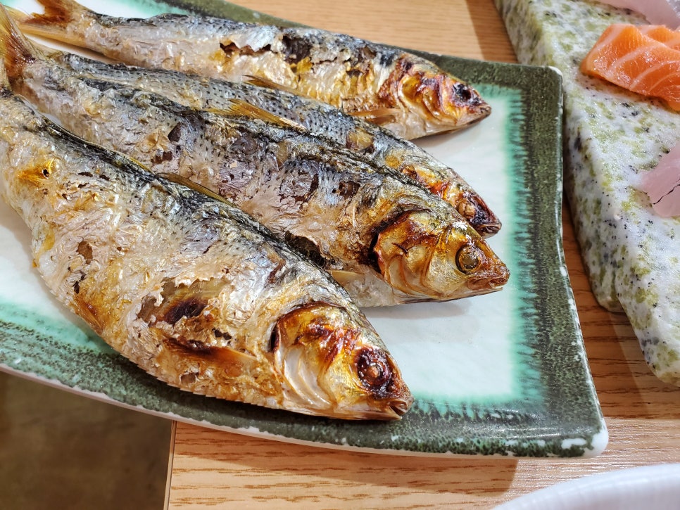 광어9900 이미지