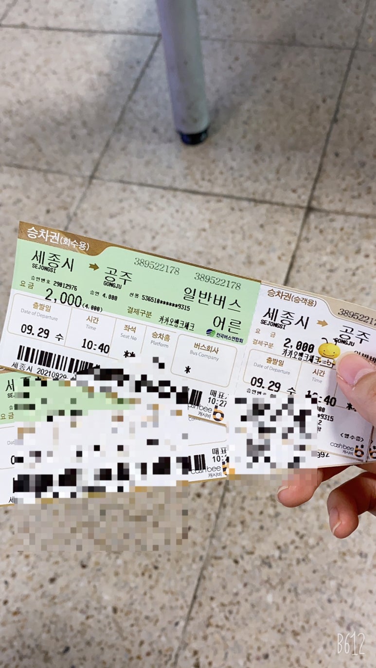 단양종합야식 이미지