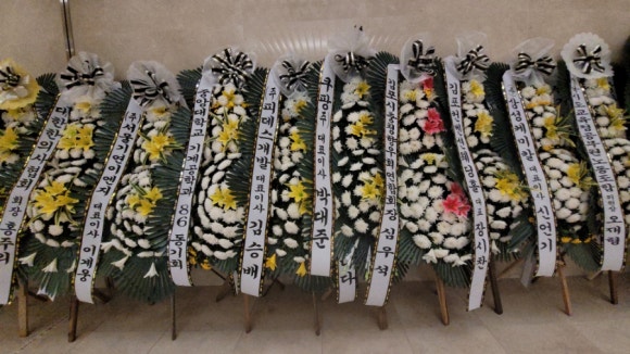 프리덤라이프 이미지