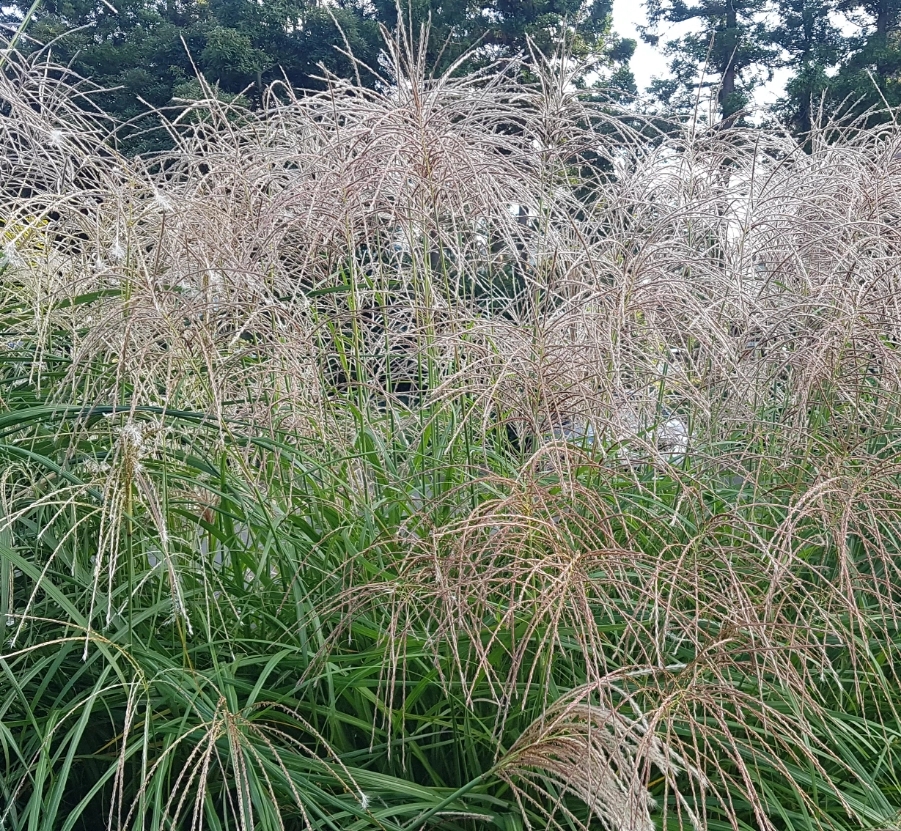 청림기획 이미지