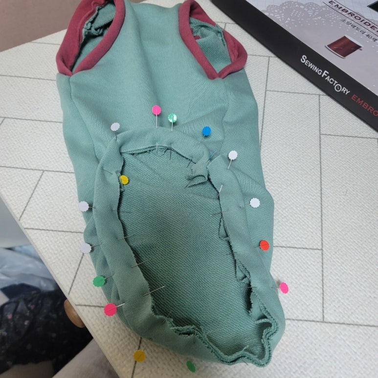 코지부호 이미지