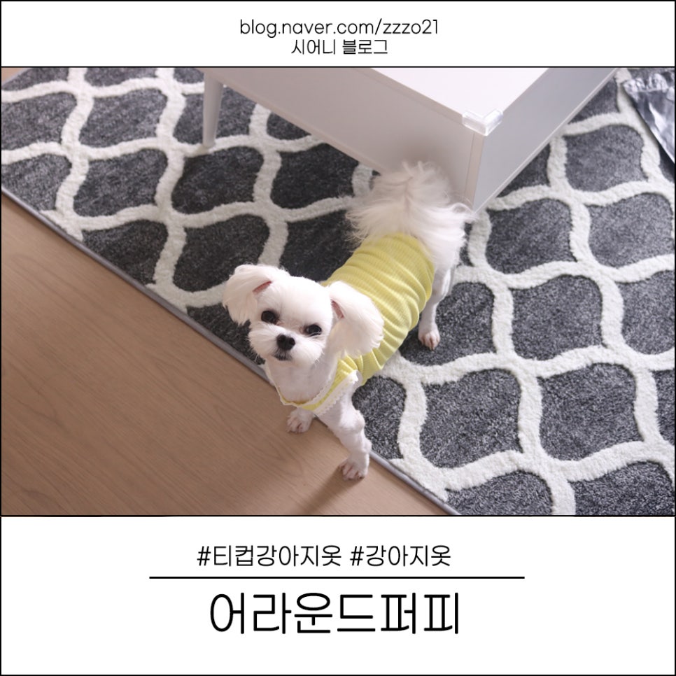 어라운드 퍼피 이미지