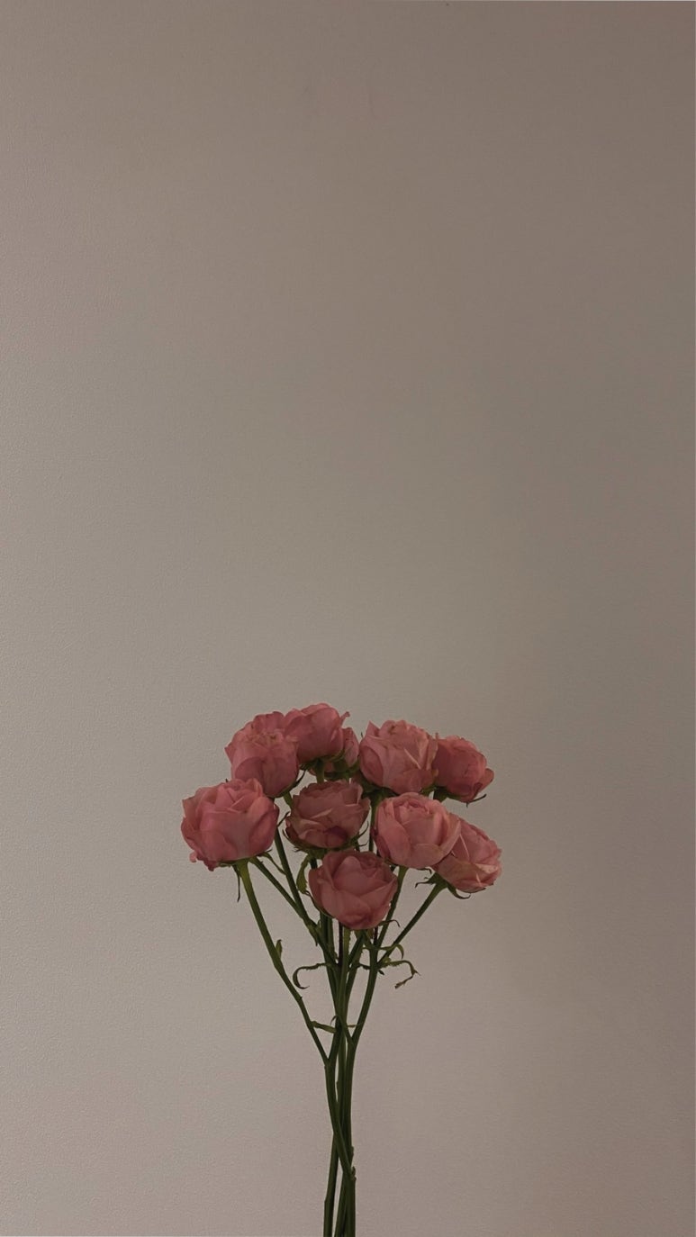 편안꽃 이미지