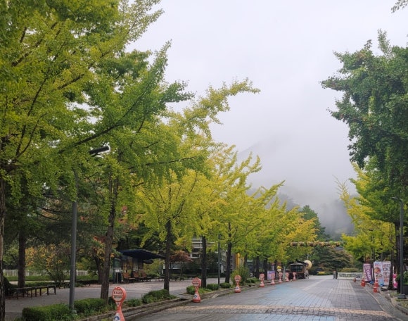(주)용문여행 이미지