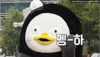 남도몰 이미지