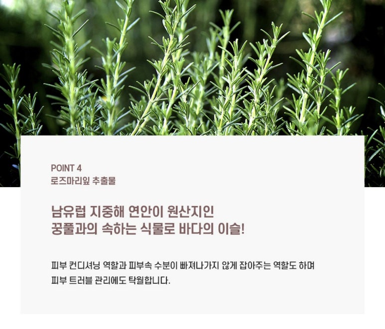 (주)레드팩 이미지