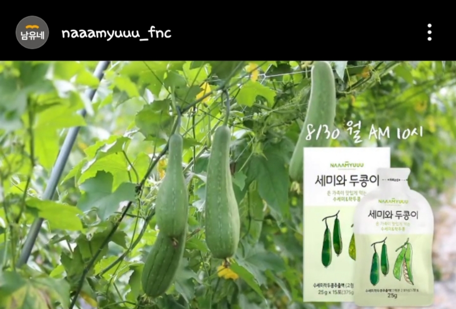 두콩식품 이미지