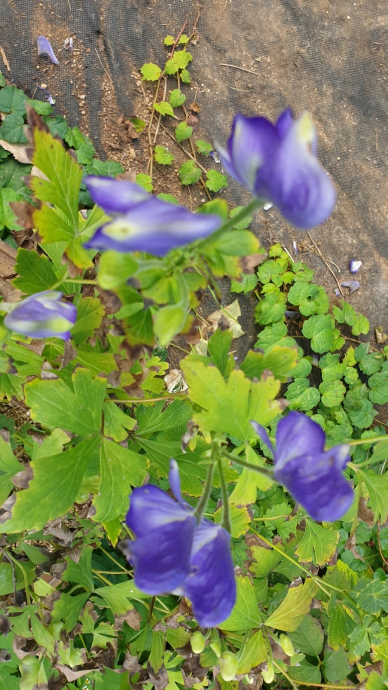 산에들에농장 이미지