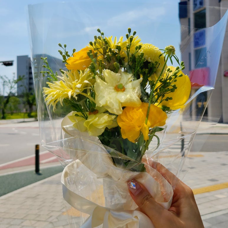 플랑드주아 이미지