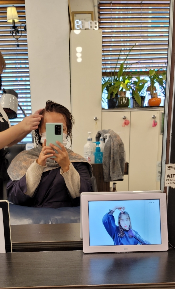 마레헤어 이미지