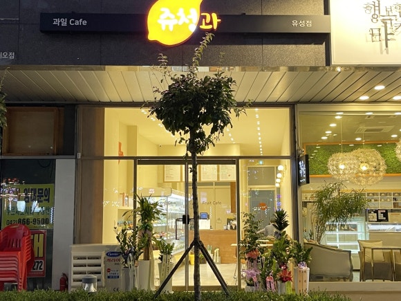 유성청과 이미지