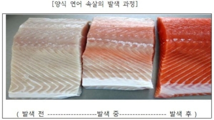 선홍수산식품 이미지