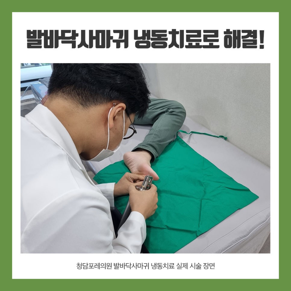 씨포레 이미지
