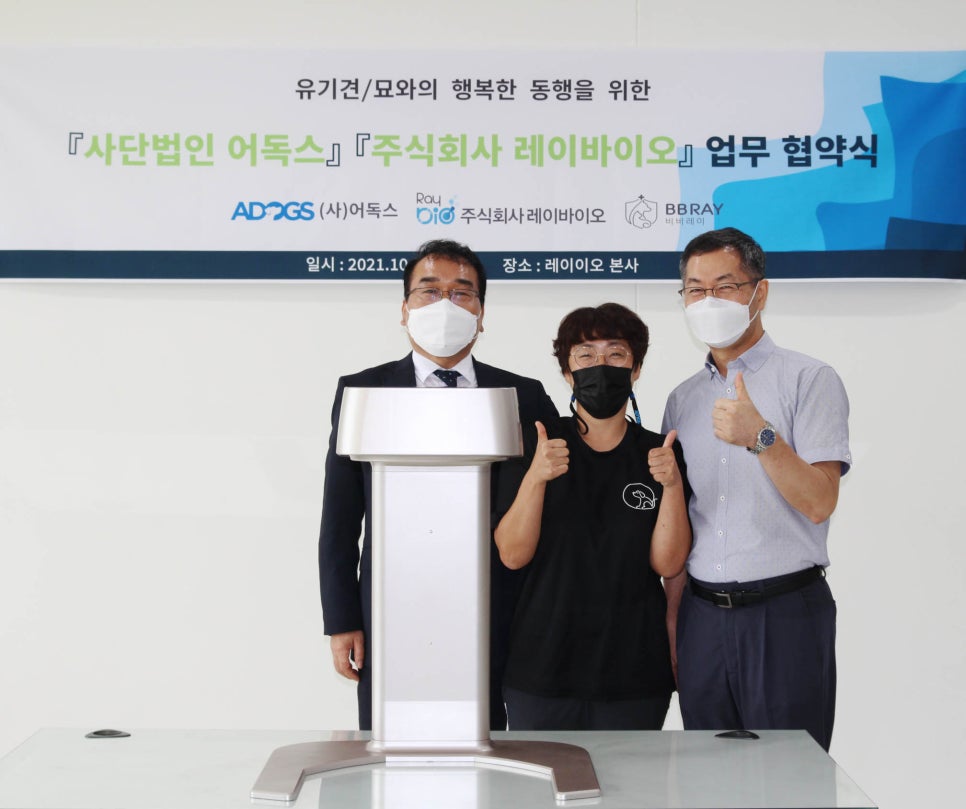 주식회사 레이 이미지