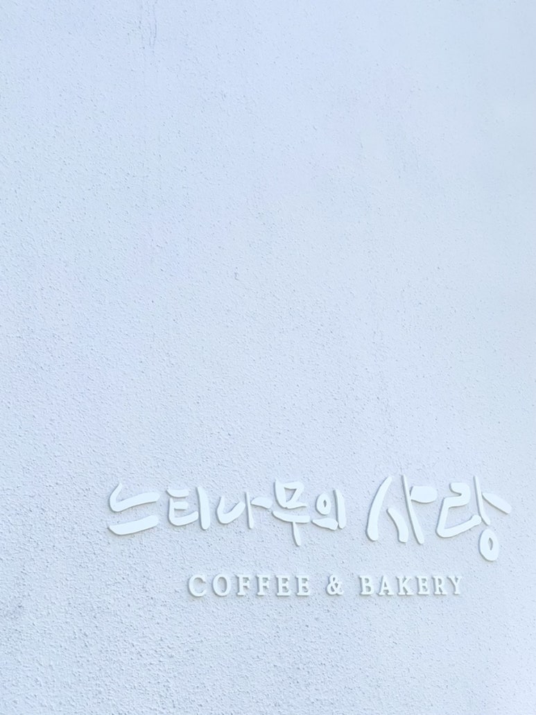 카페느티나무 이미지